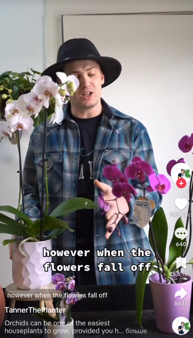 Tanner regarde les plantes devant lui, comme on peut le voir dans une vidéo TikTok datée du 19 février 2023 | Source : TikTok/@tannertheplanter