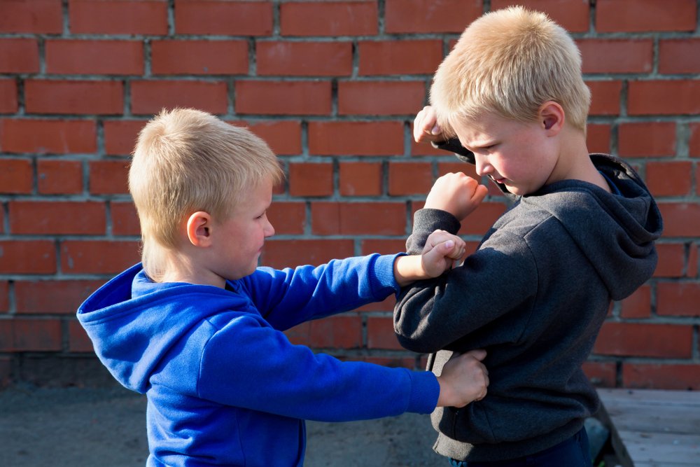 Deux enfants qui se battent  Photo : Shutterstock