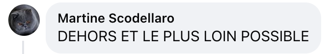 Capture d'écran du commentaire d'un internaute I Source : Facebook BFMTV