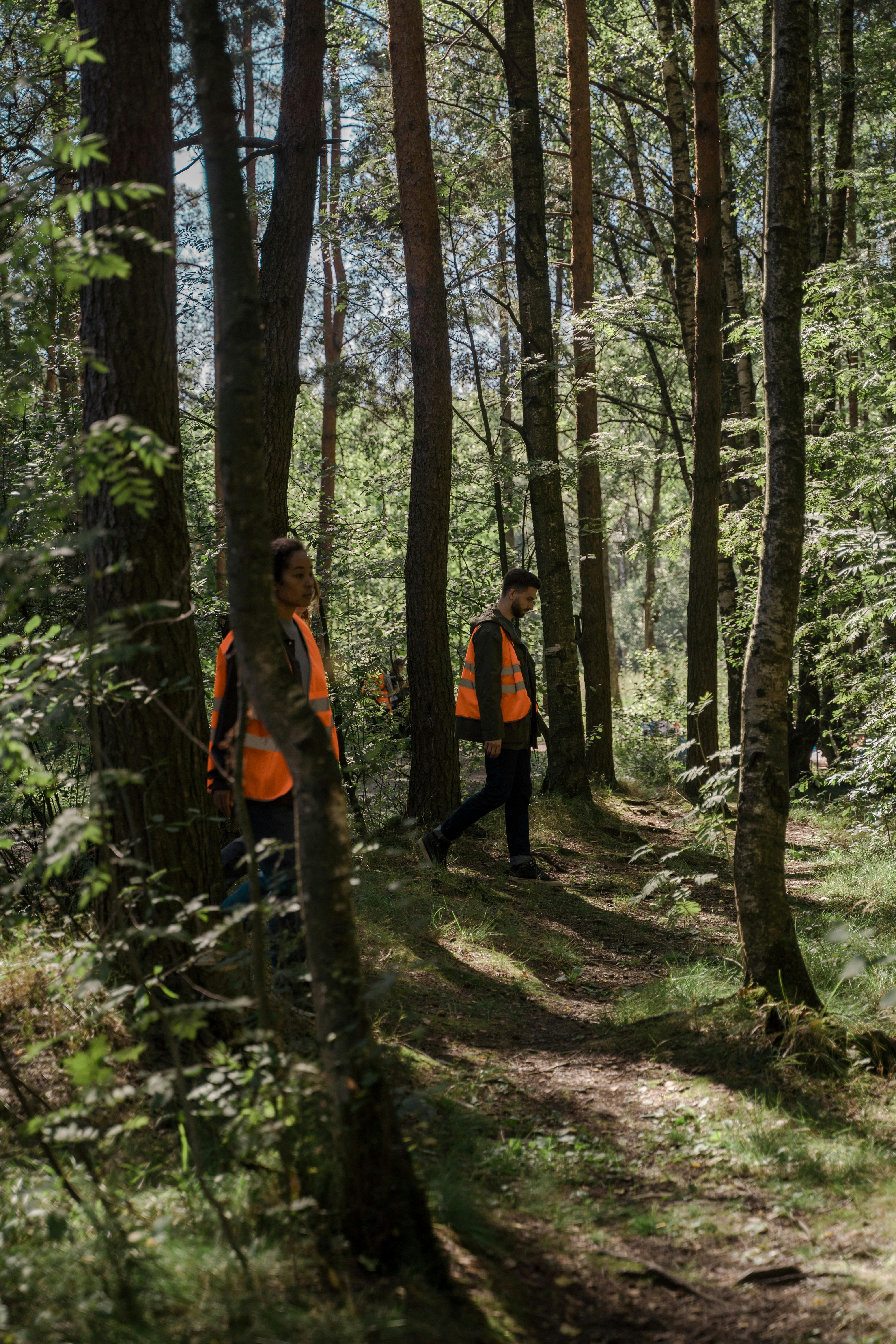 Une équipe de recherche traversant les bois | Source : Pexels