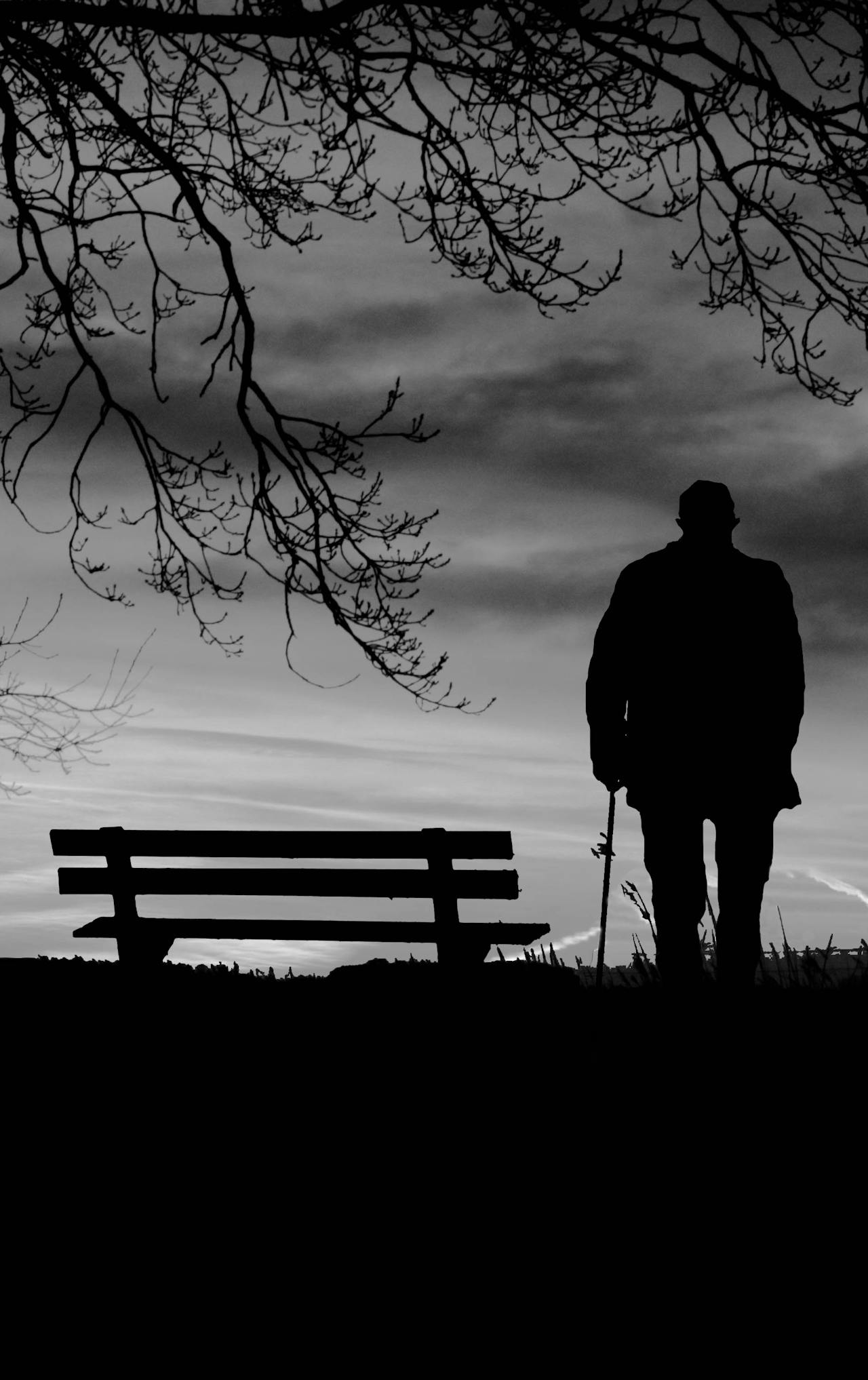 Silhouette d'un homme âgé et solitaire debout près d'un banc | Source : Pexels
