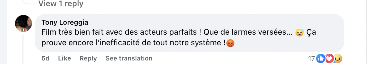 Commentaire d'un internaute concernant le téléfilm "Signalements" | Source : Facebook