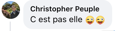 Commentaire d'un internaute | Source : Facebook/Télé Loisirs