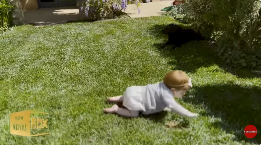 Princesse Lilibet, extrait d'un message daté du 15 décembre 2022 | Source : Youtube/@LMT