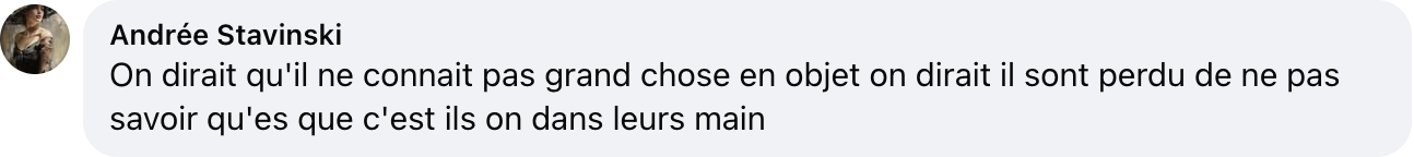 Commentaire d'internaute sur l'apparence du prince Jacques et de la princesse Gabriella | Source : capture facebook.com/purepeople