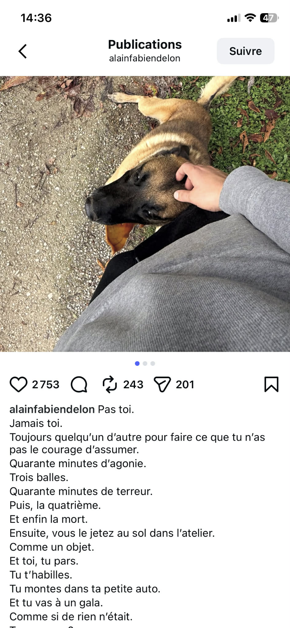 Capture d'écran I Source : https://www.instagram.com/alainfabiendelon/?hl=en