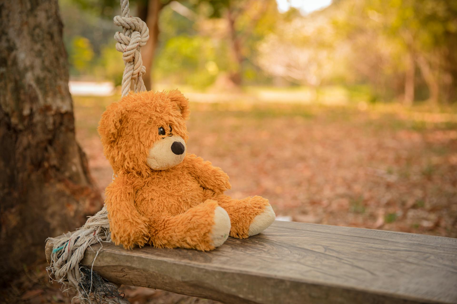 Gros plan d'un ours en peluche sur une balançoire en bois | Source : Pexels