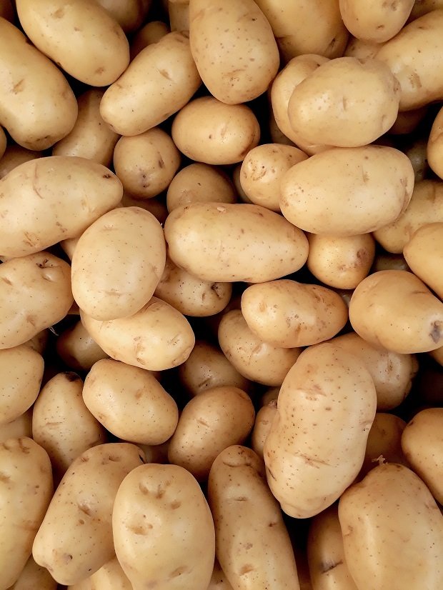 Des pommes de terre  | Photo : Getty Images.