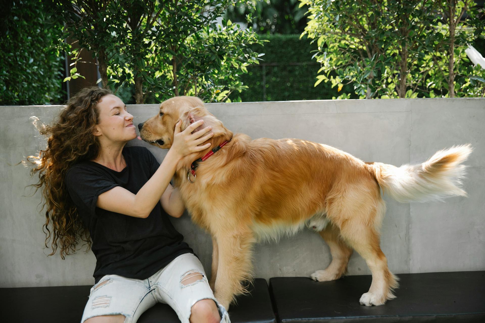 Une femme dorlote un Golden Retriever | Source : Pexels