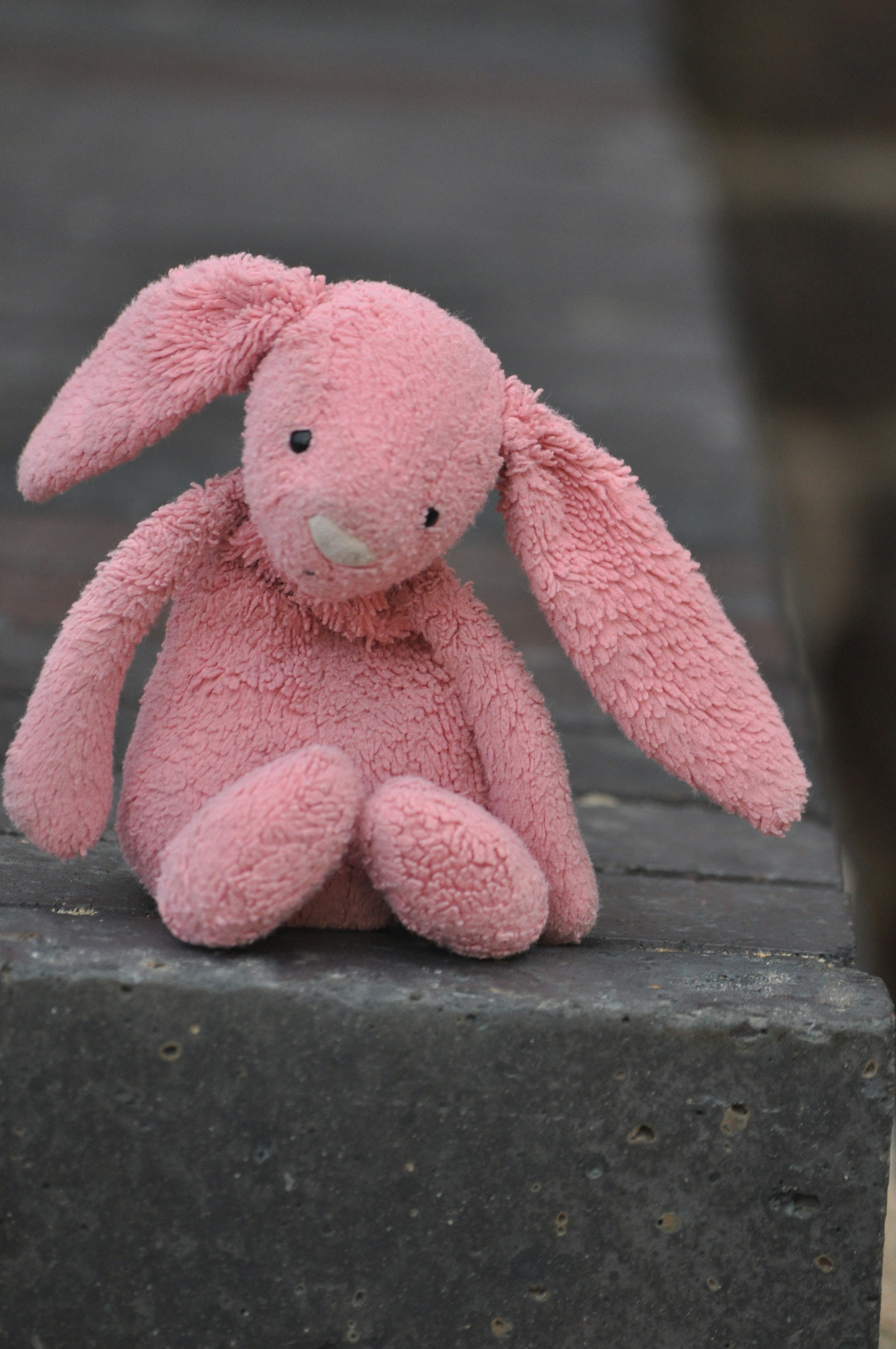 Un lapin en peluche rose | Source : Unsplash