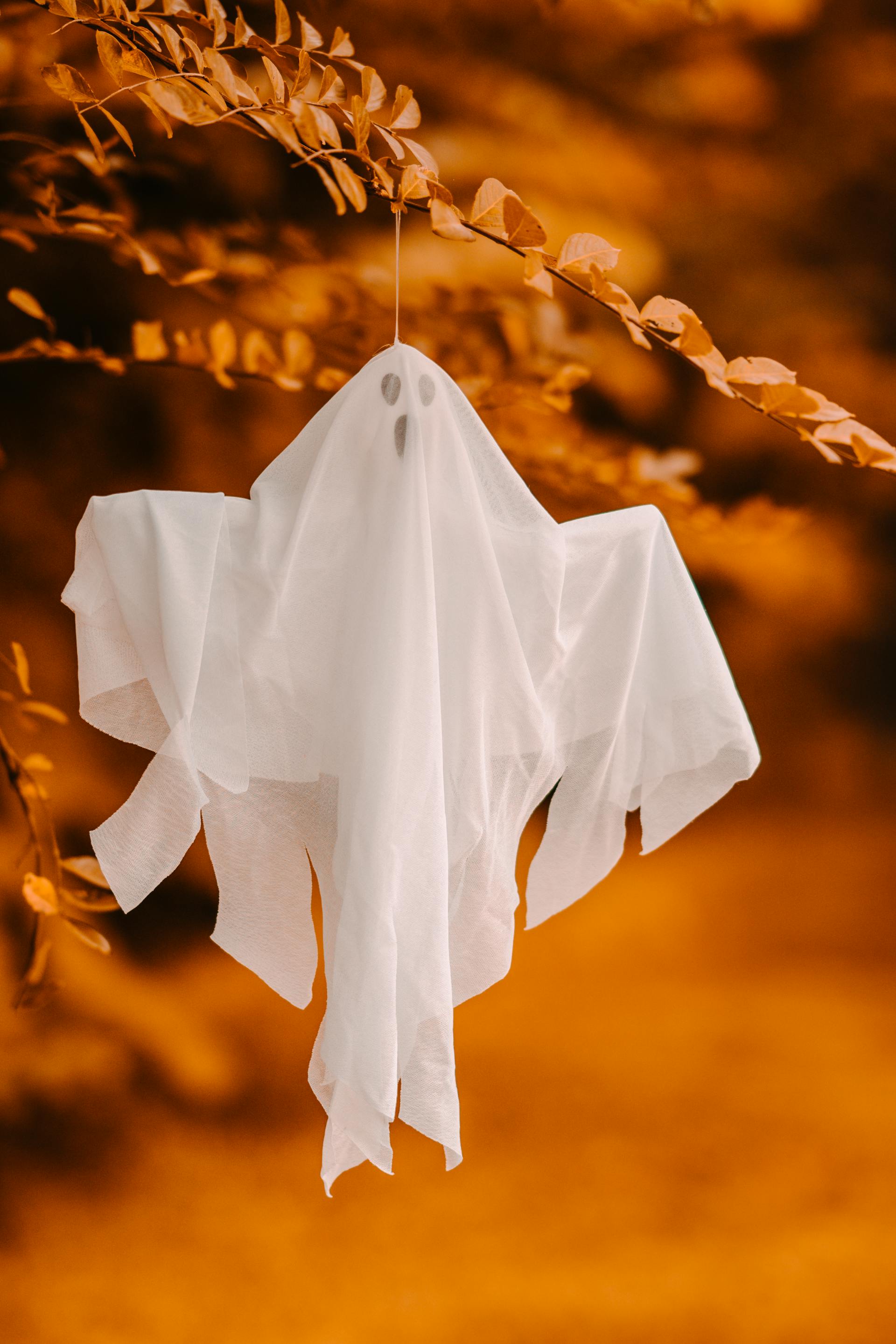 Ornement décoratif de fantôme d'Halloween accroché à une branche | Source : Pexels