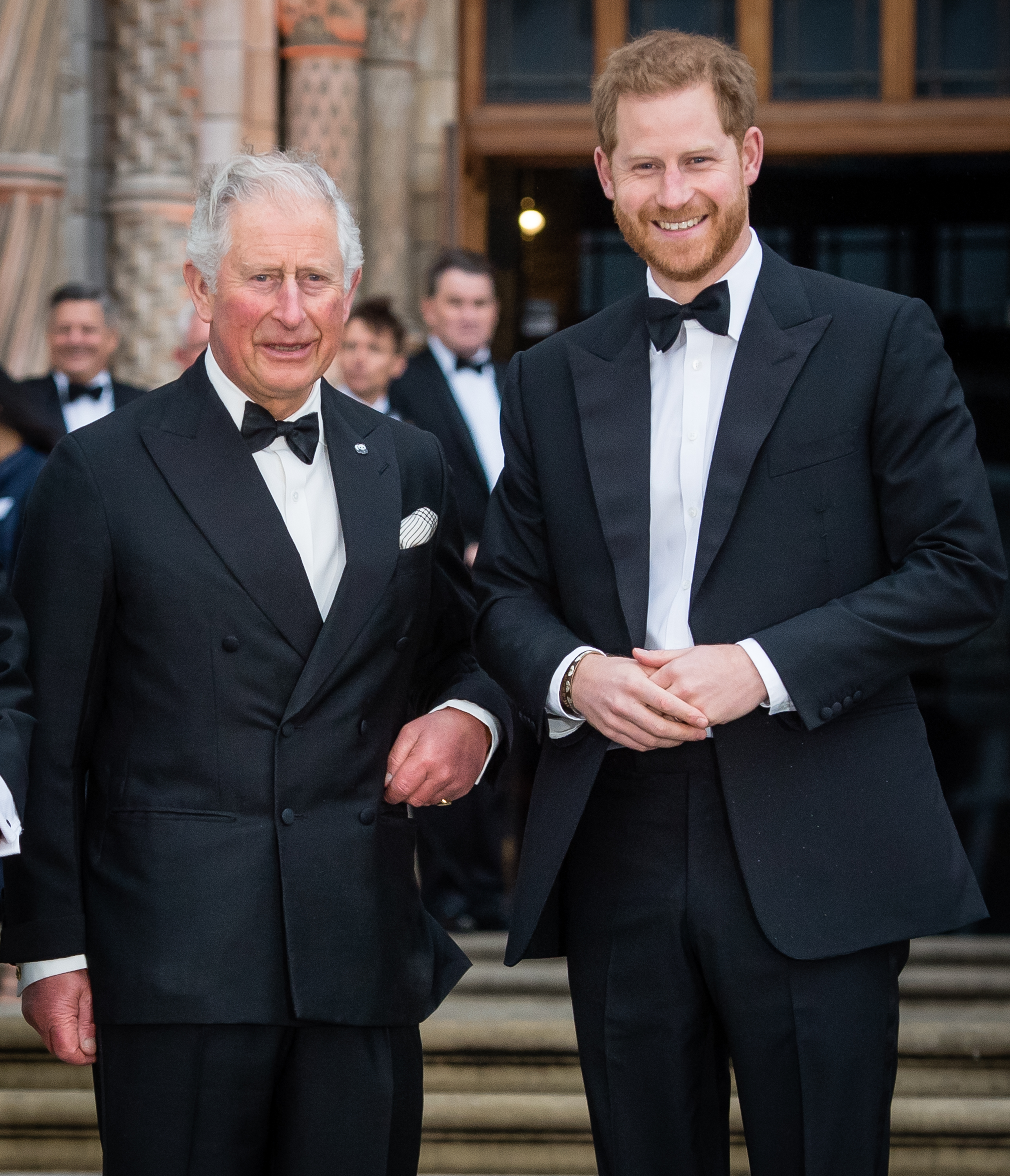 Le roi Charles III et le prince Harry lors de la première mondiale de "Notre planète" à Londres, en Angleterre, le 4 avril 2019 | Source : Getty Images