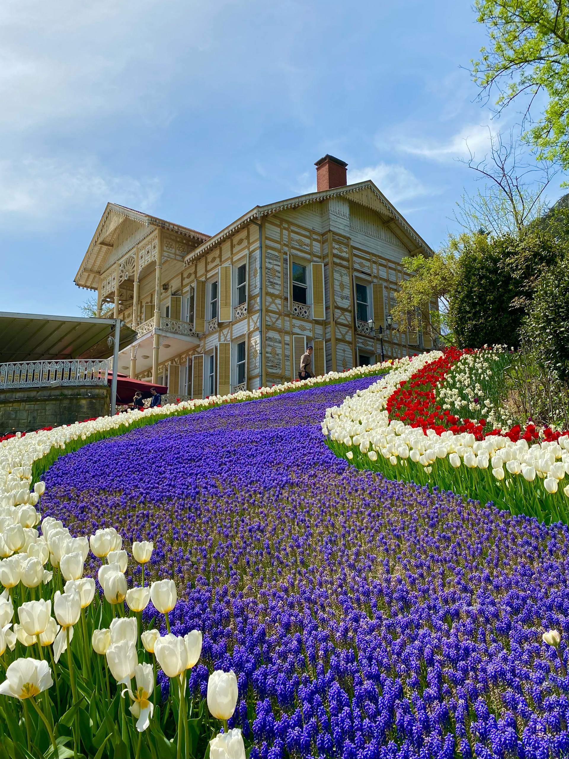 Le magnifique jardin paysager d'une maison | Source : Pexels