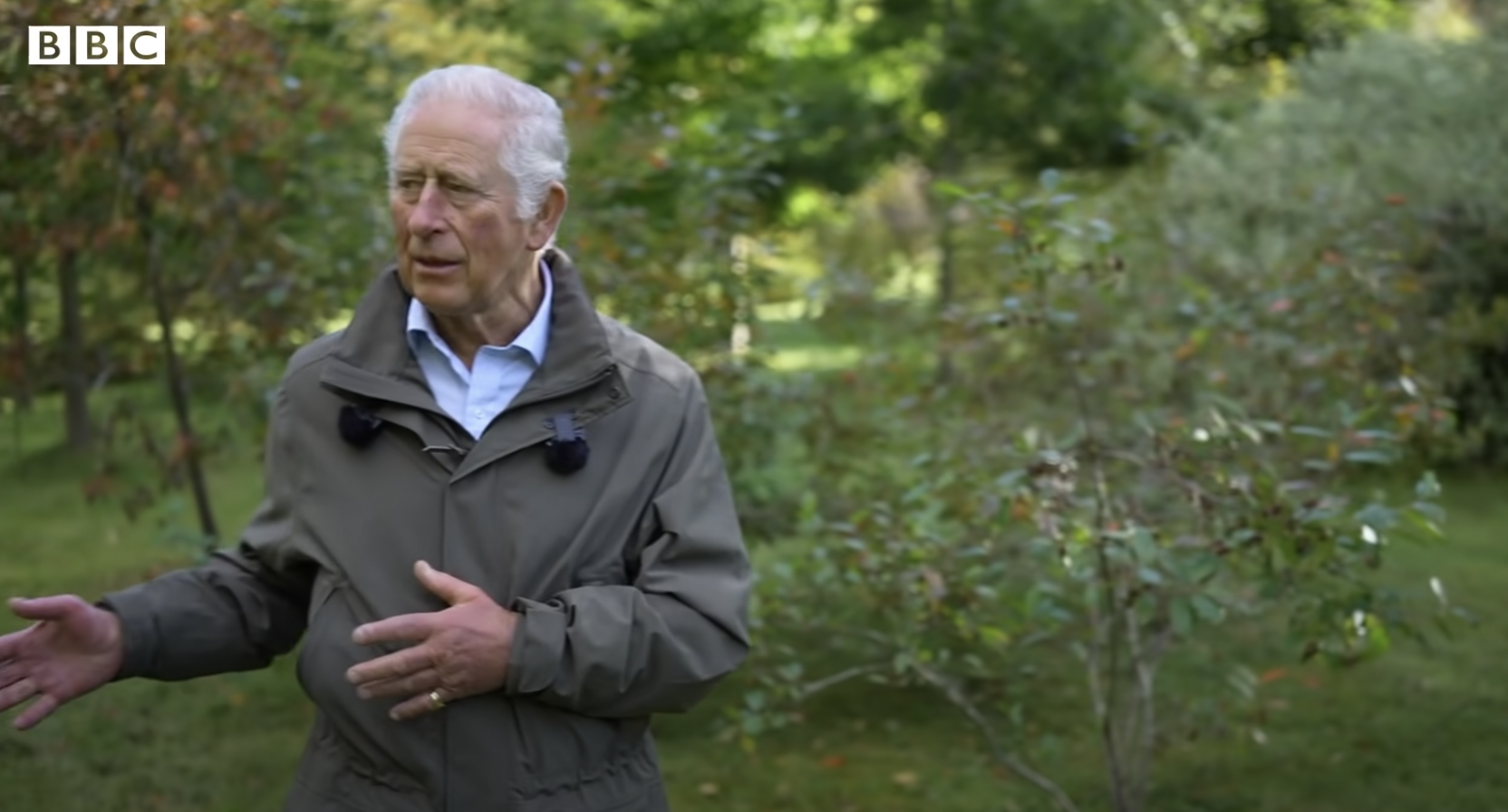 Le roi Charles III lors d'une interview dans le jardin du domaine de Balmoral, daté de 2022 | Source : YouTube/BBC News