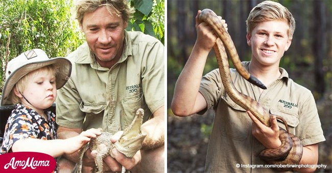 Le fils de Steve Irwin reprend l'héritage de son père décédé en tant que nouveau «chasseur de crocodiles»