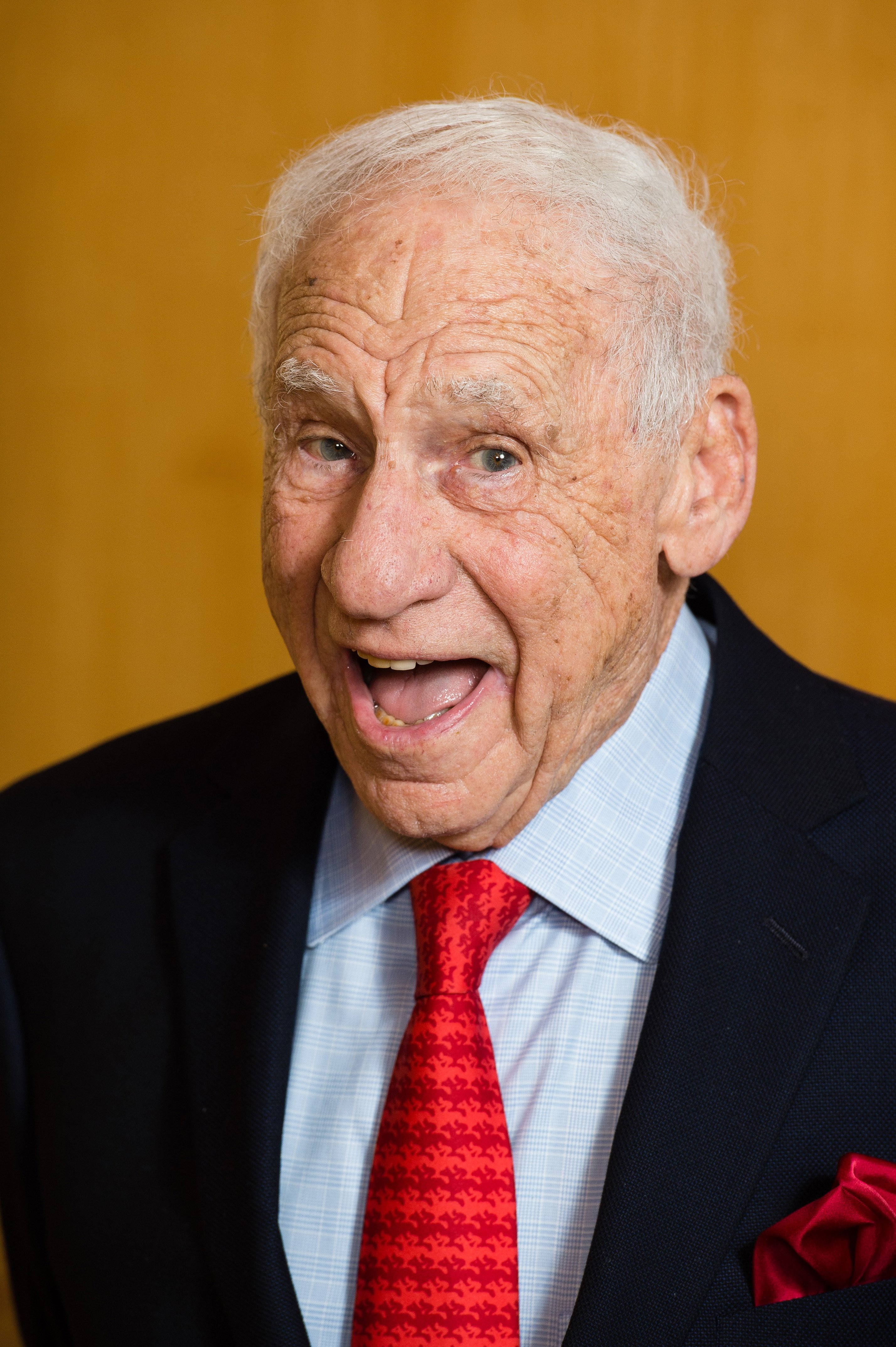 Mel Brooks assiste au déjeuner de la fraternité des BAFTA à l'hôtel The Savoy le 11 février 2017 à Londres, au Royaume-Uni ┃Source : Getty Images