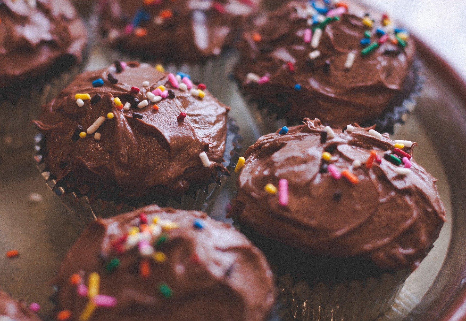 Cupcakes au chocolat. | Photo : Getty Images