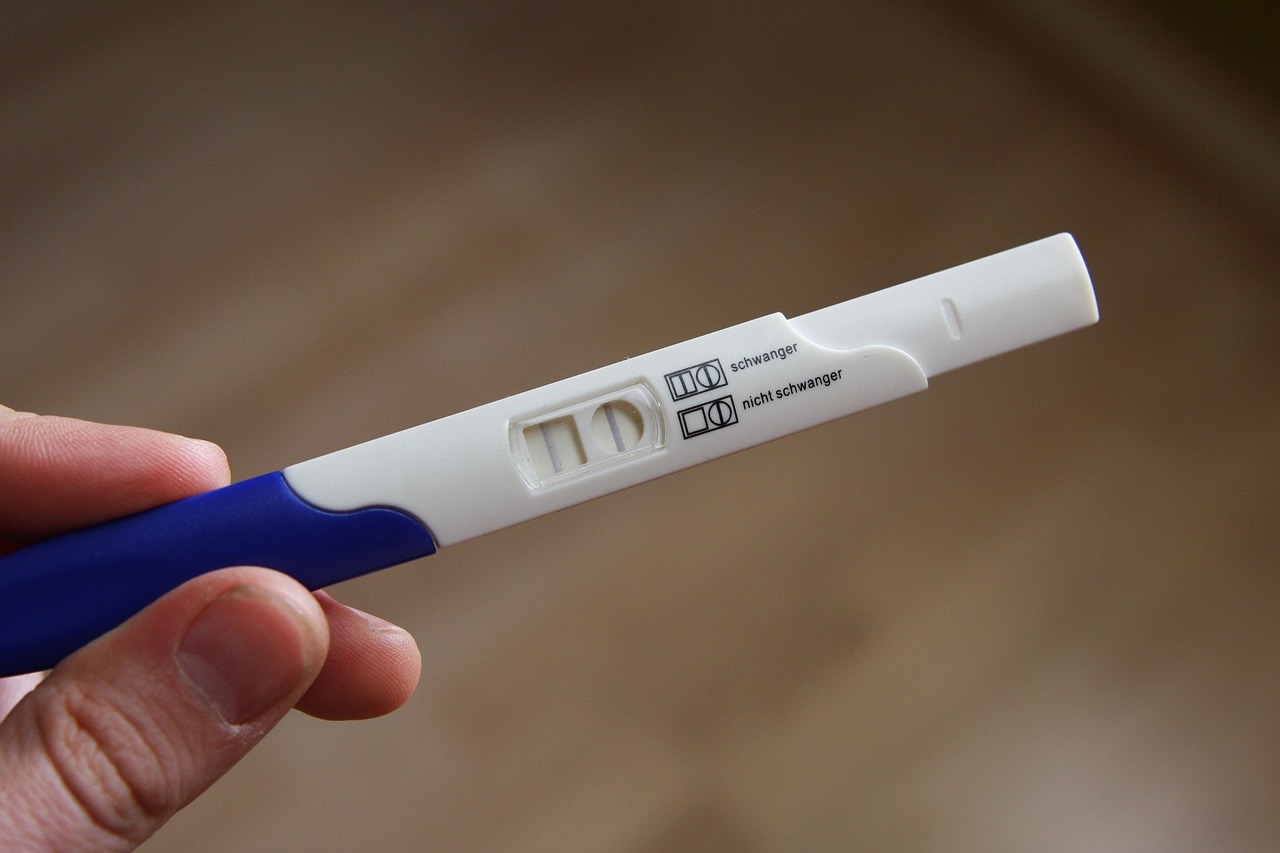 Une personne tenant un test de grossesse | Source : Pixabay