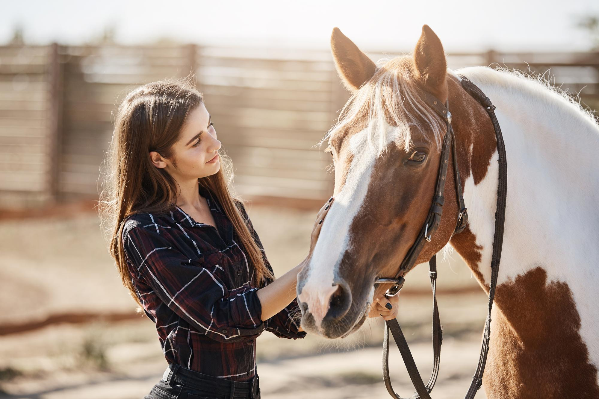 Une femme caresse un cheval | Source : Freepik