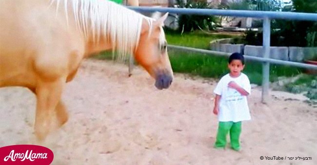 Moment poignant lorsqu'un cheval s'approche d'un garçon atteint d'une maladie rare pour interagir avec lui