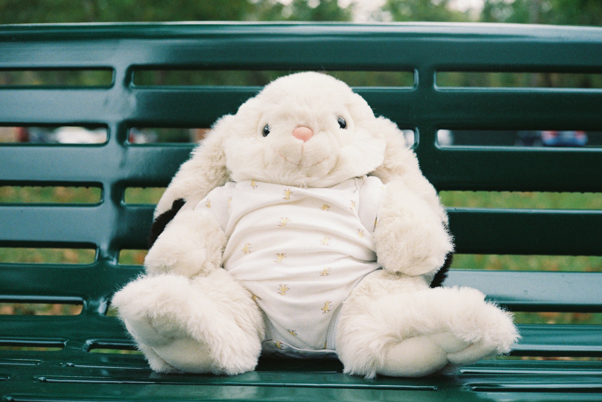 Un lapin en peluche assis sur un banc | Source : Unsplash