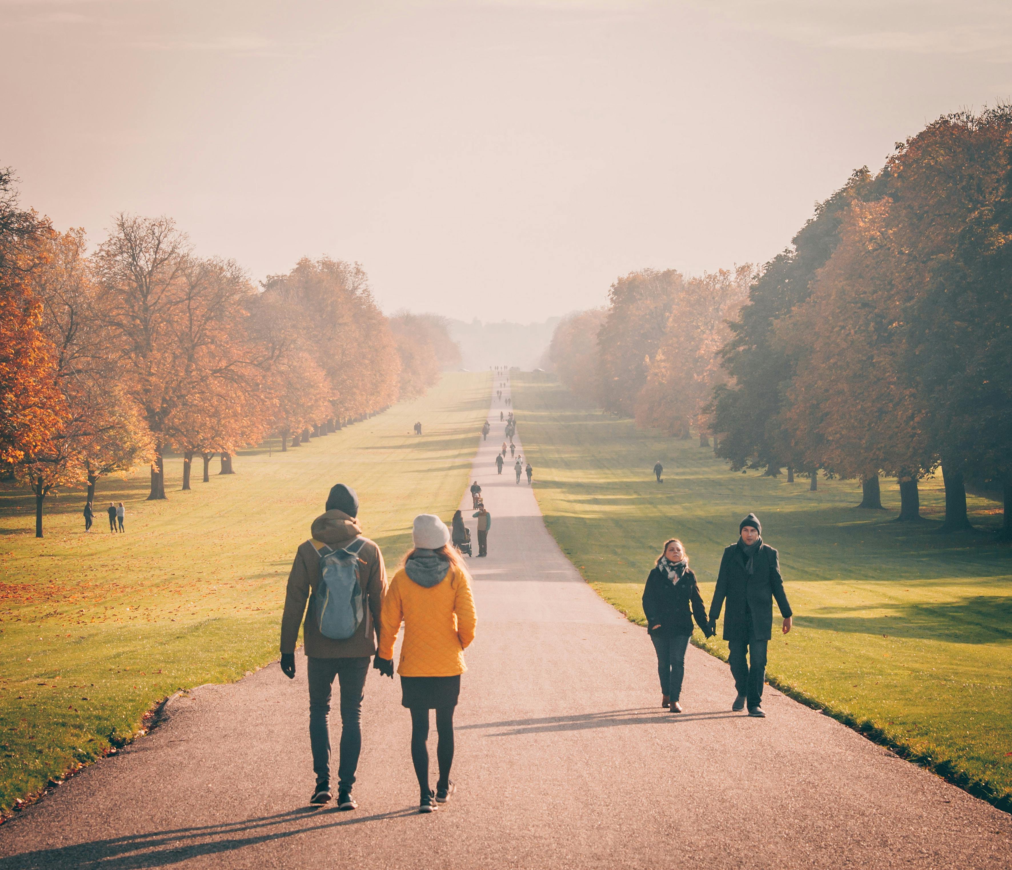 Des gens se promènent dans un parc | Source : Pexels