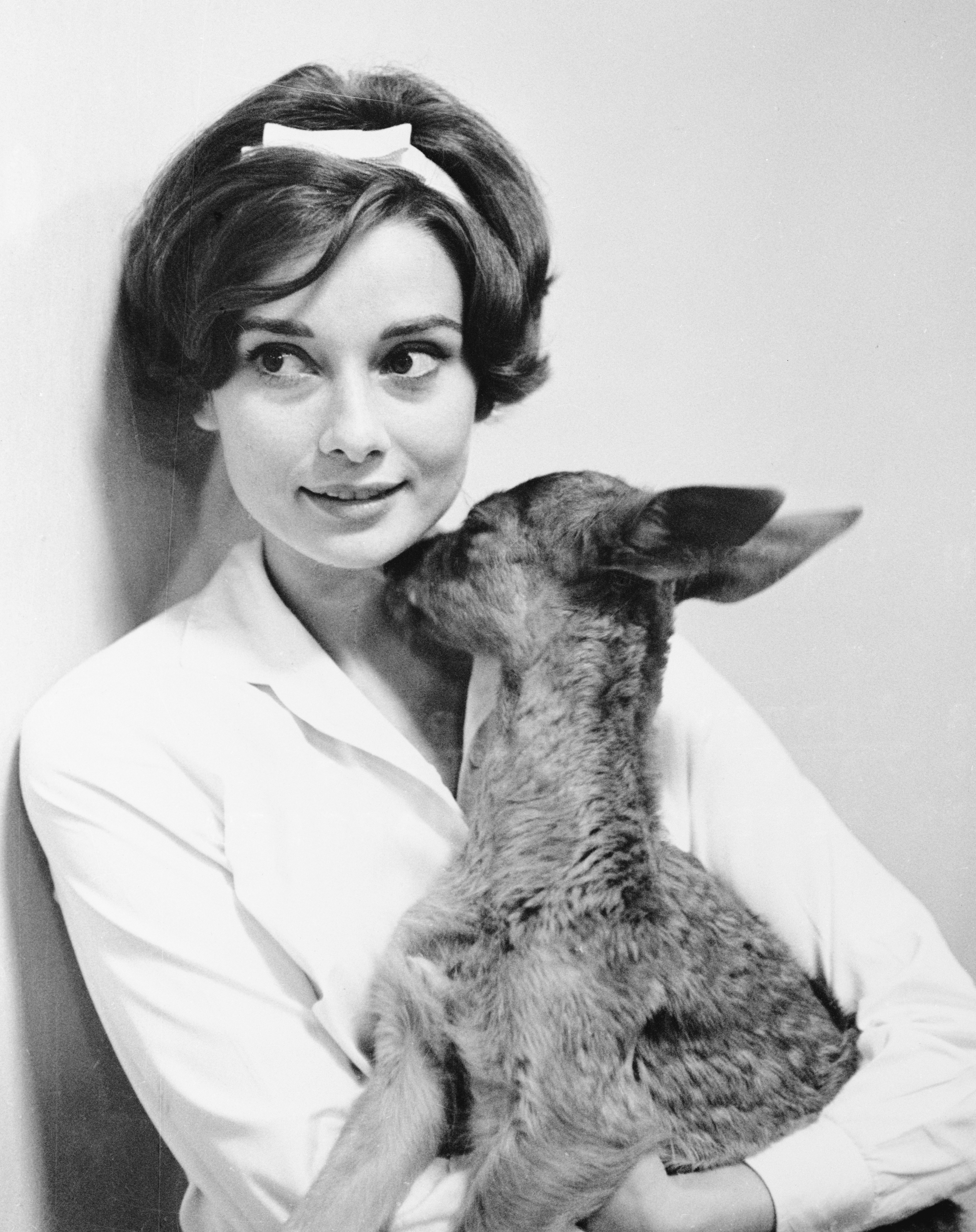 Audrey Hepburn et son animal de compagnie Fawn Ip lui donnant un baiser dans sa maison en 1958 | Source : Getty Images