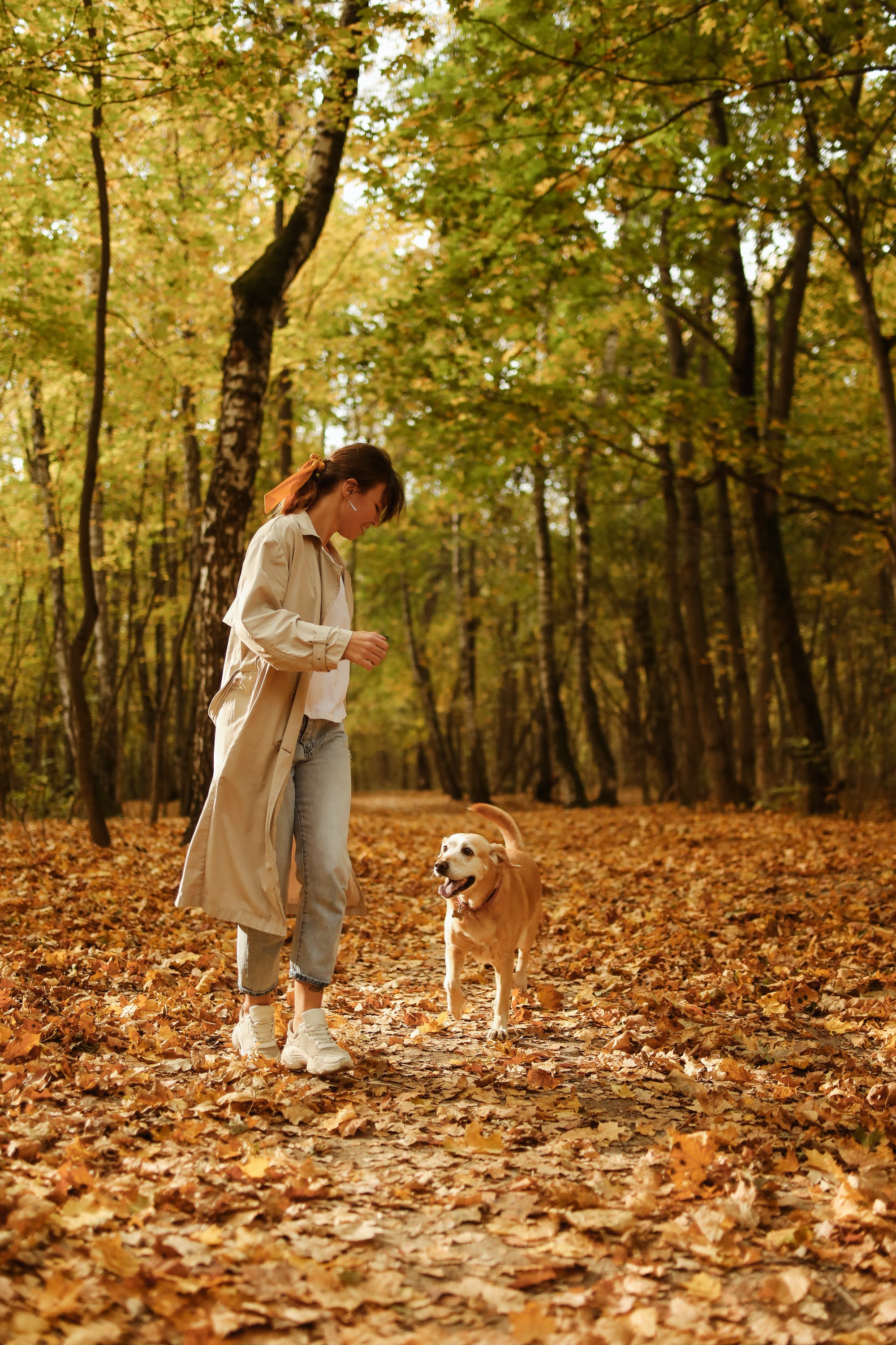 Une femme promenant son chien dans les bois | Source : Pexels