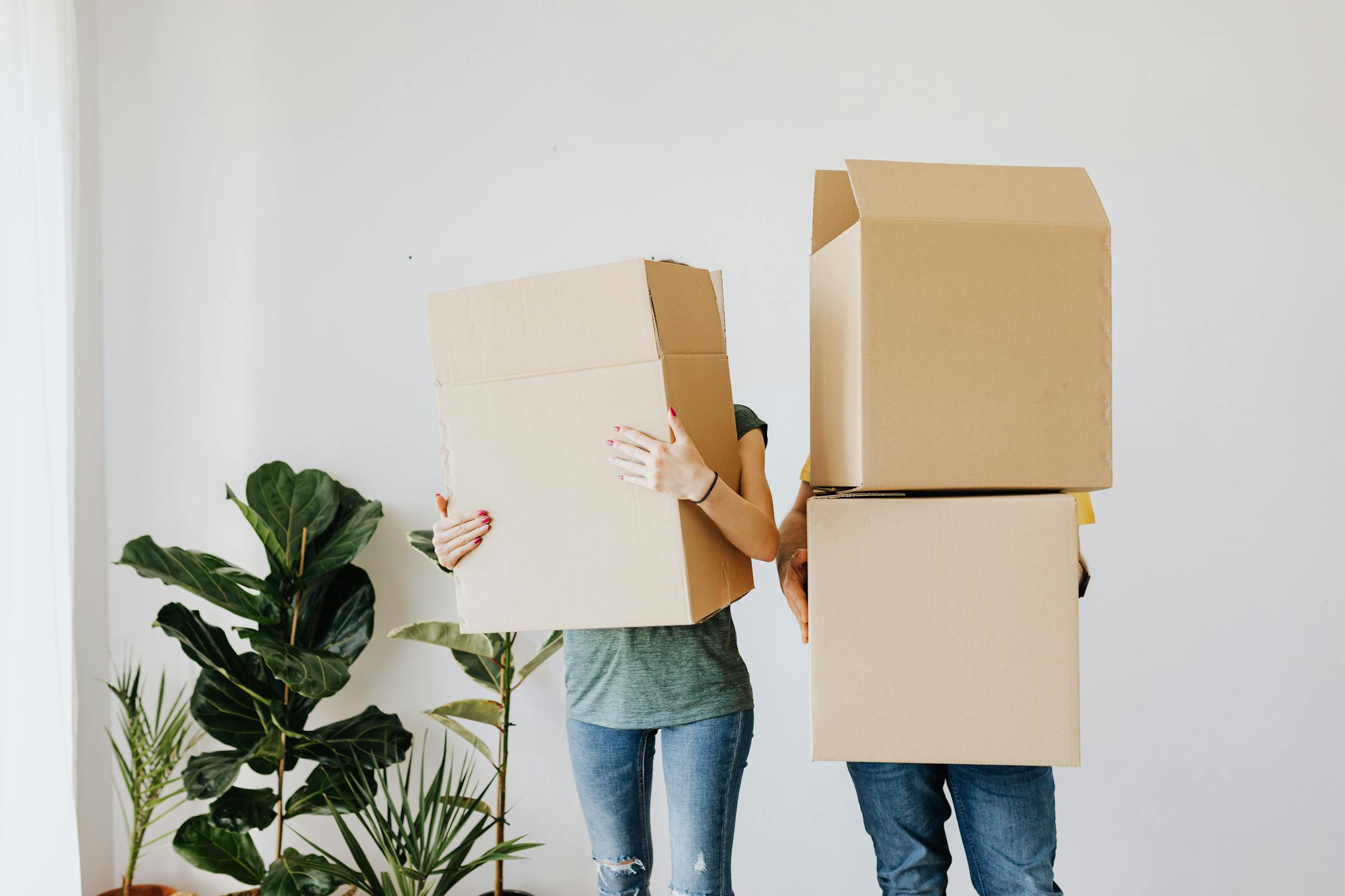 Deux personnes déplaçant des cartons | Source : Pexels