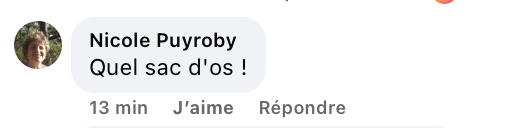 Commentaire d'un internaute I Source : https://www.facebook.com/reel/1403549441563226