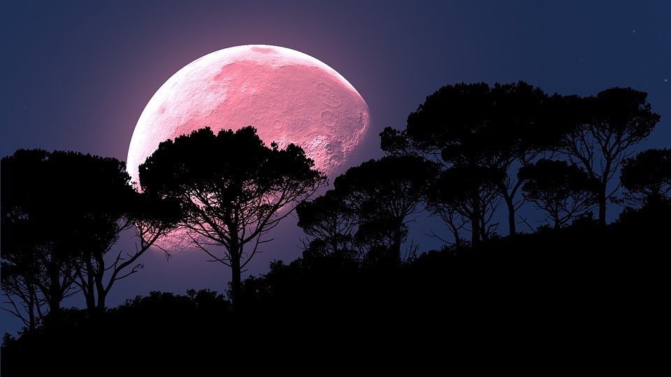 Lune Rose | Photo : Pixabay