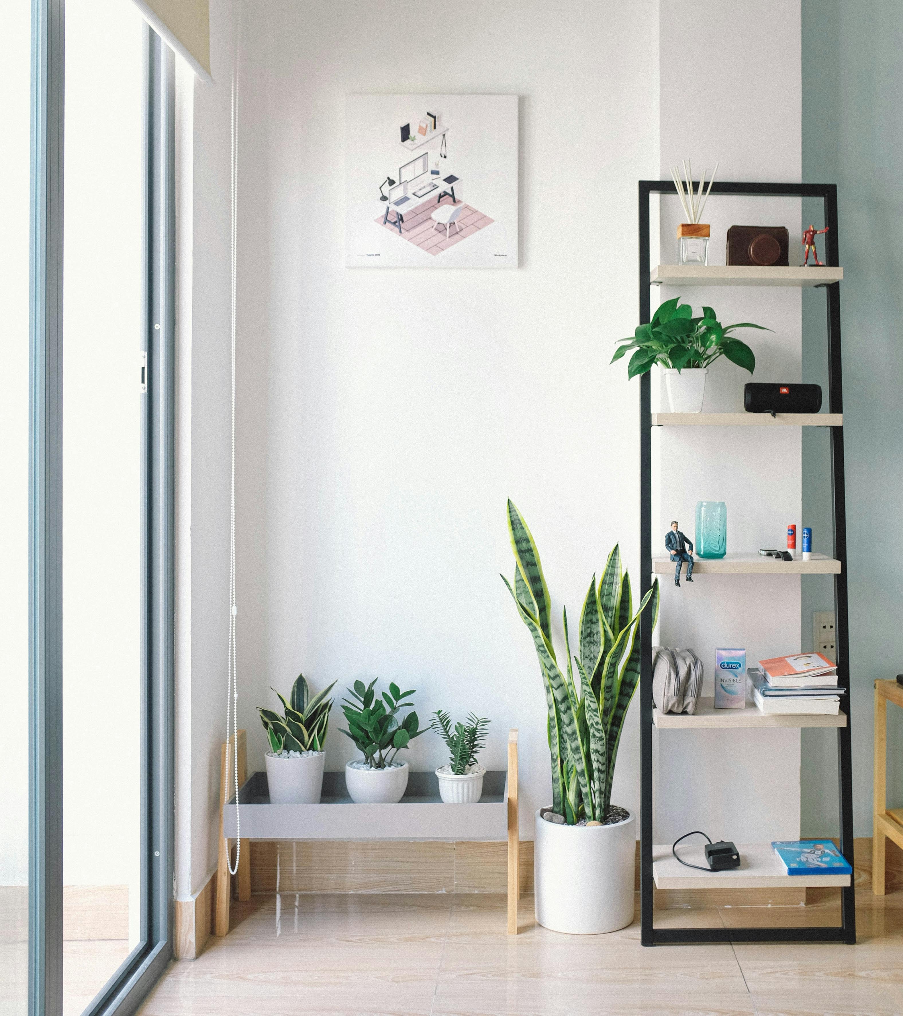 Un appartement rempli de plantes | Source : Pexels