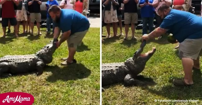Un alligator géant révèle le sexe d'un bébé sur le point de naître, les gens sont inquiets
