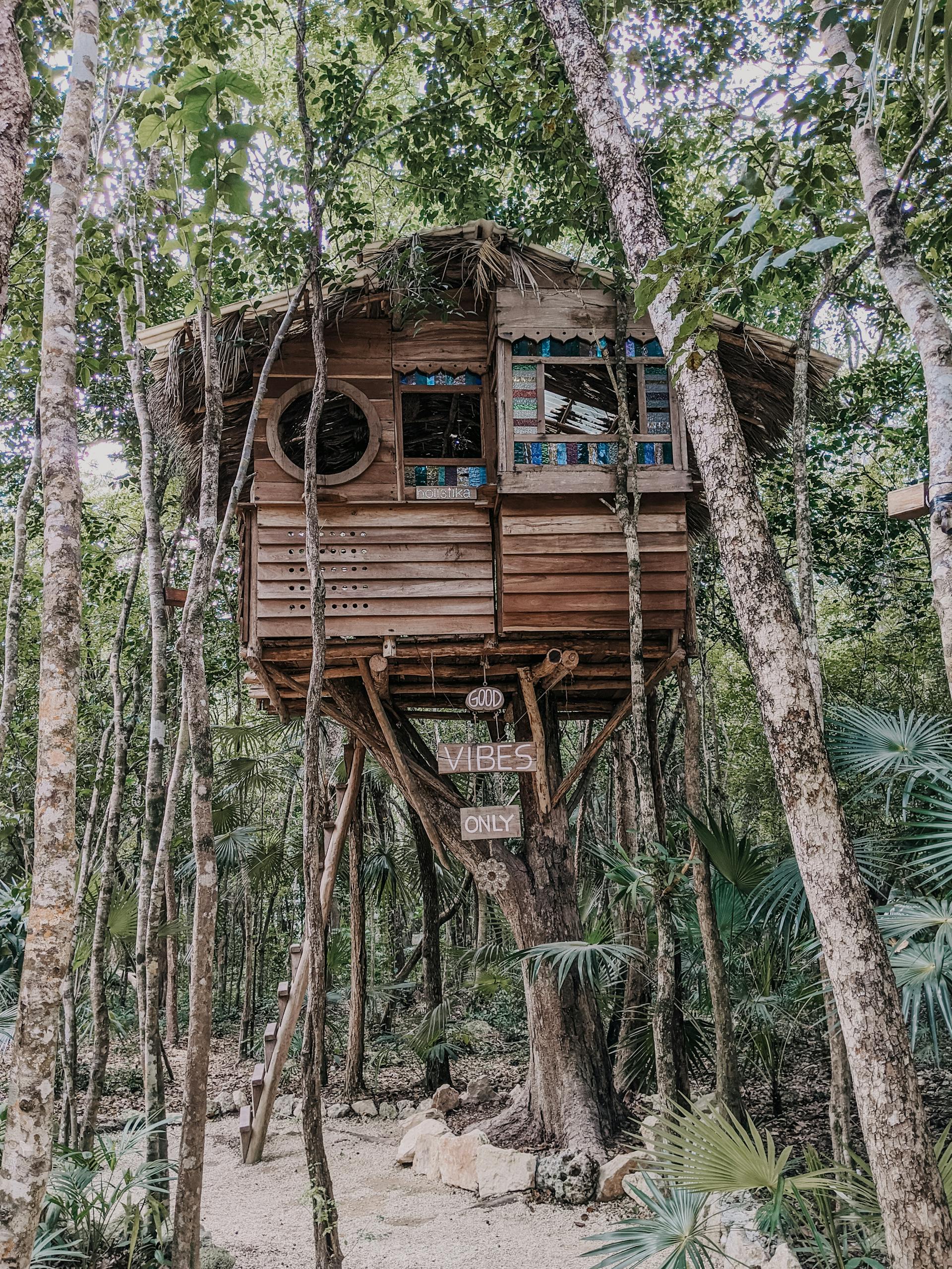 Une cabane dans un arbre | Source : Pexels