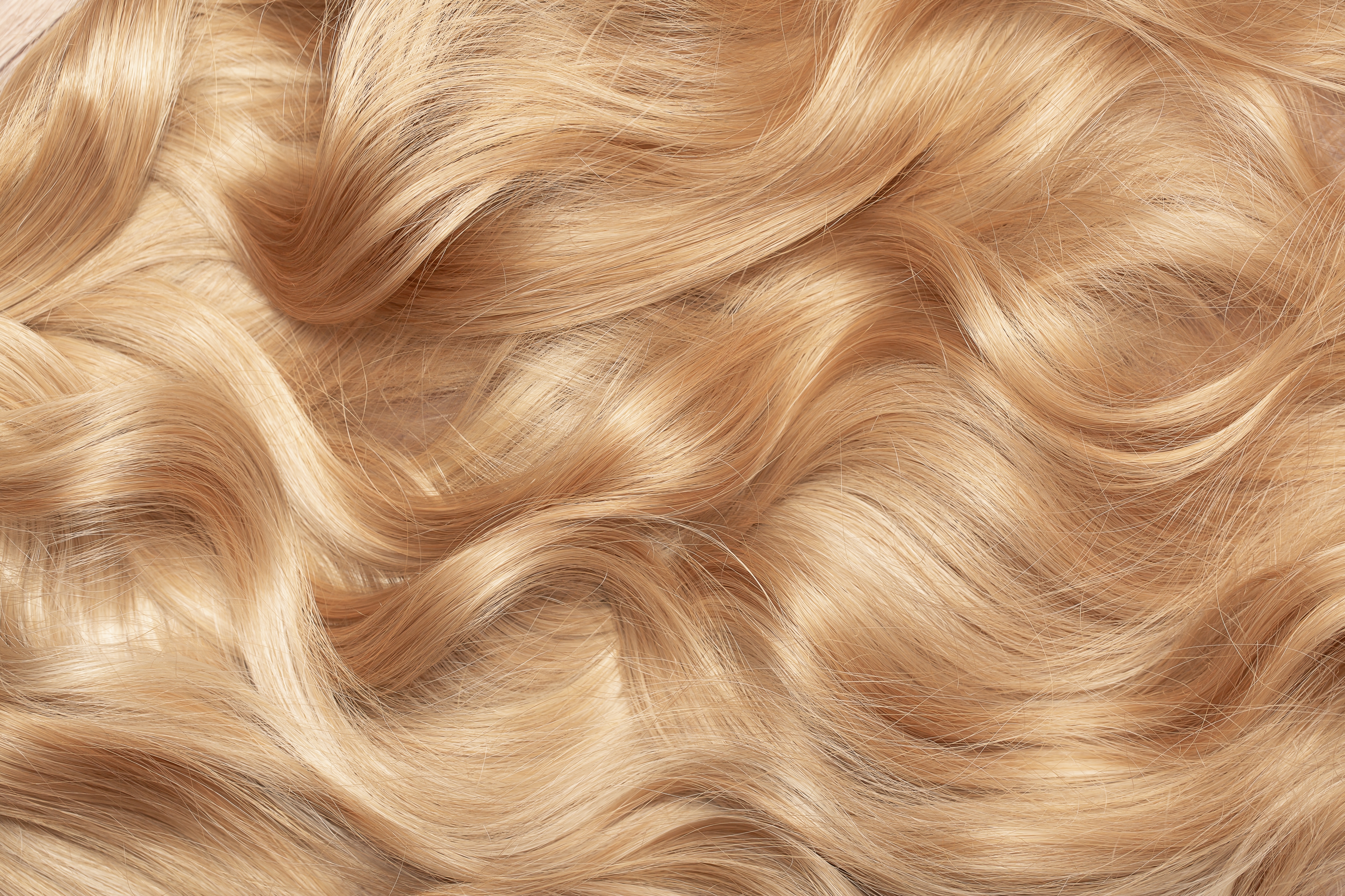 Mèches de cheveux blonds | Source : Shutterstock