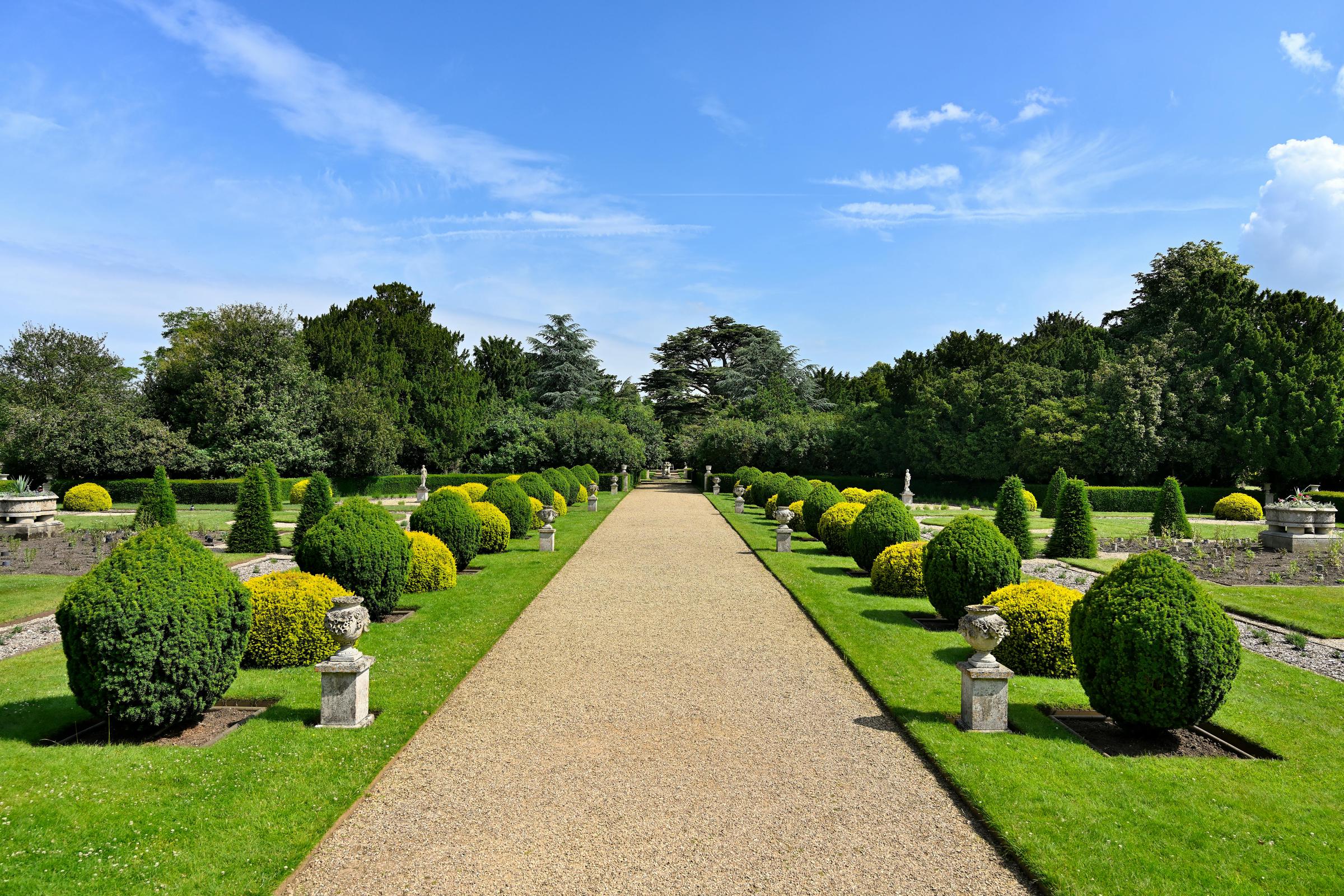 Un jardin avec des haies taillées | Source : Pexels