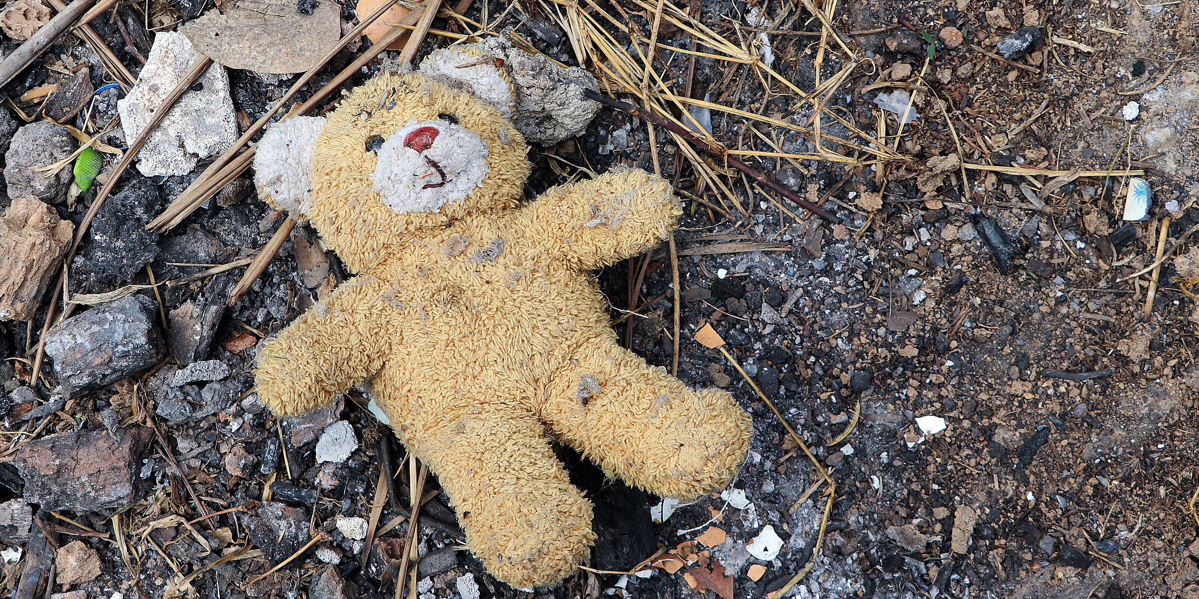 Un ours en peluche couché sur le sol | Source : Getty Images