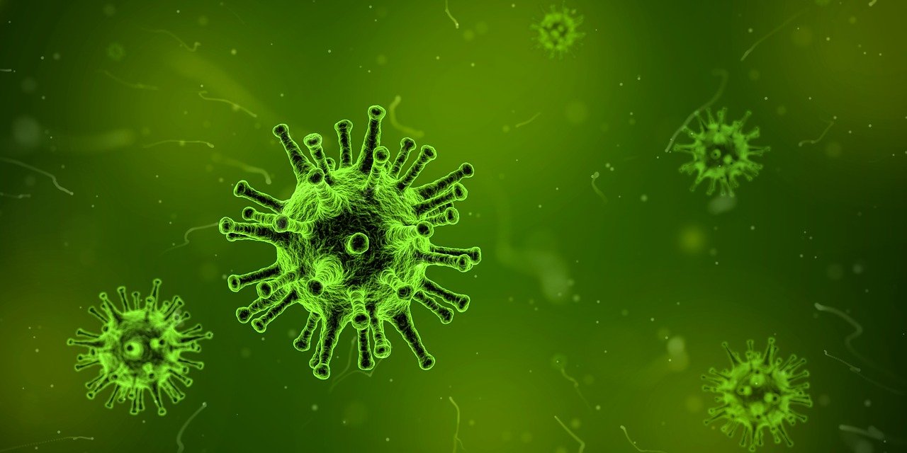 Un virus observé au microscope. | Photo : Pixabay
