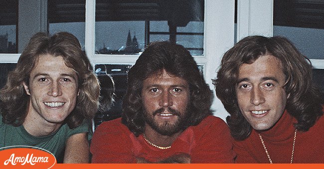 Les membres des Bee Gees ensemble sur une photo | Photo : Getty Images
