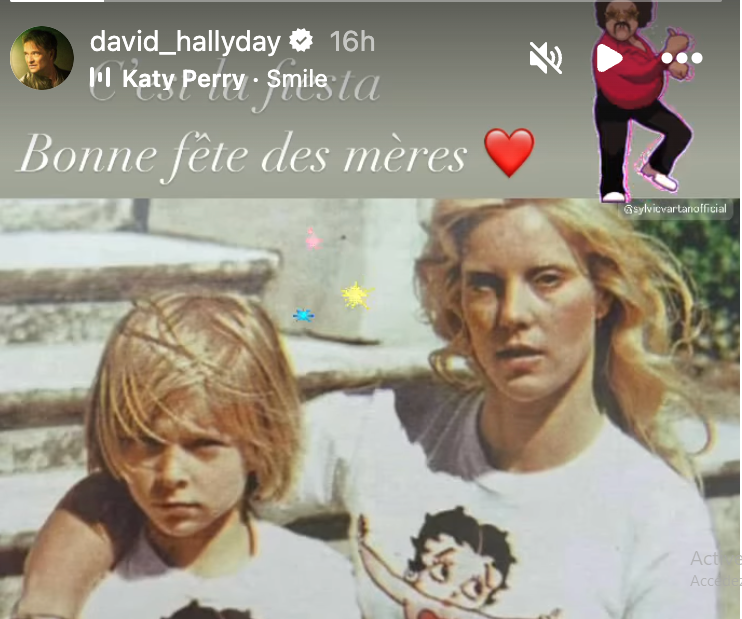 David Hallyday et Sylvie Vartan | Source : capture Instagram