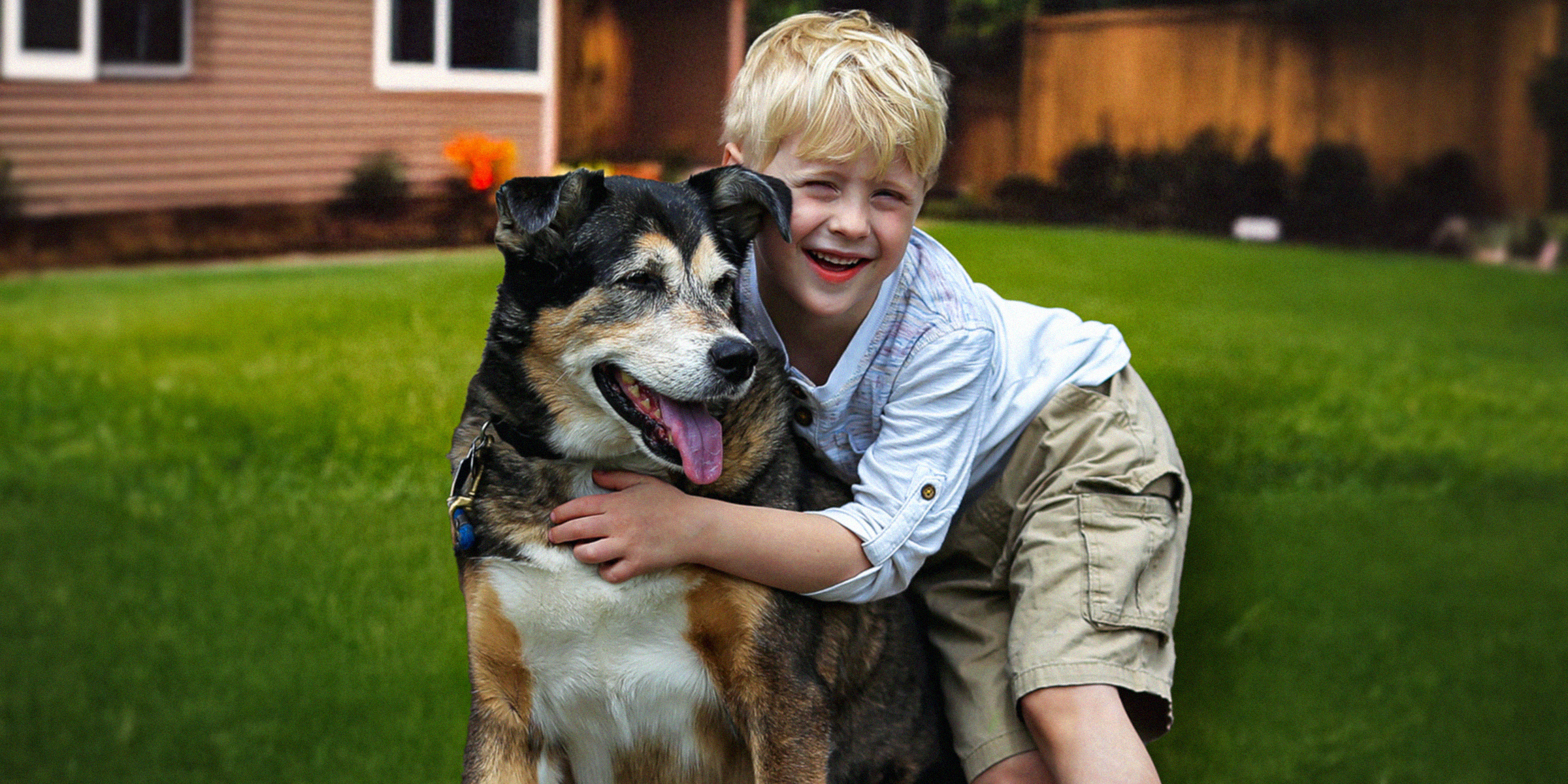 Un garçon et son chien | Source : Shutterstock