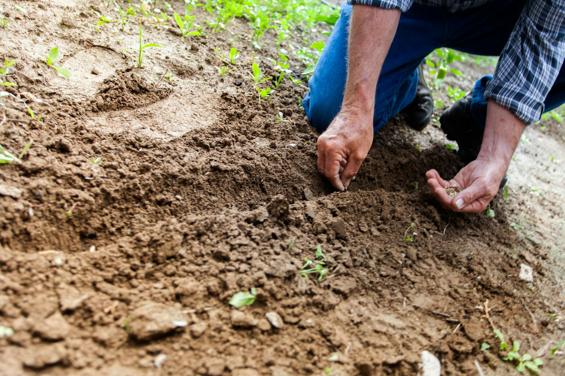 Une personne travaillant dans son jardin | Source : Pexels