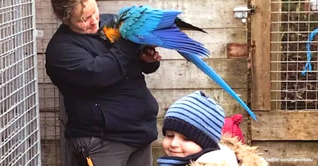 Un enfant de 5 ans atteint d'une tumeur au cerveau vient de réaliser son rêve au Zoo de la Flèche