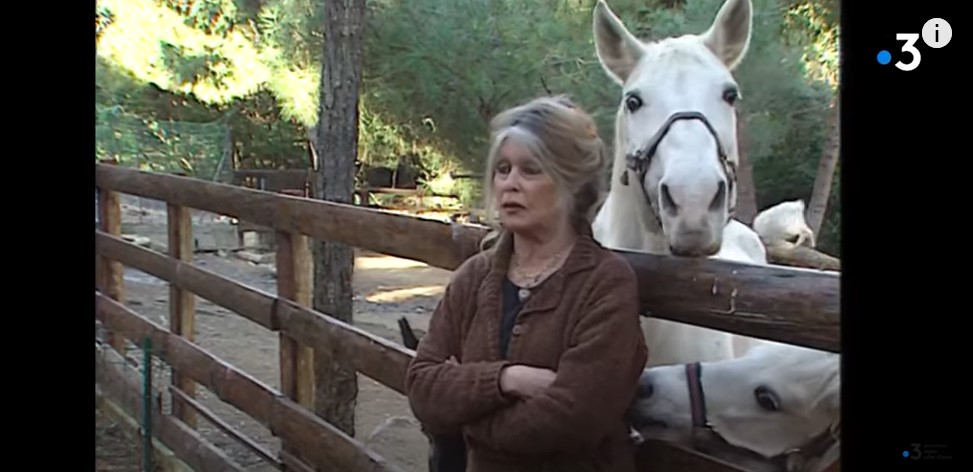 Brigitte Bardot dans son domicile de la Garrigue | Photo : @France3/YouTube/Capture d'écran