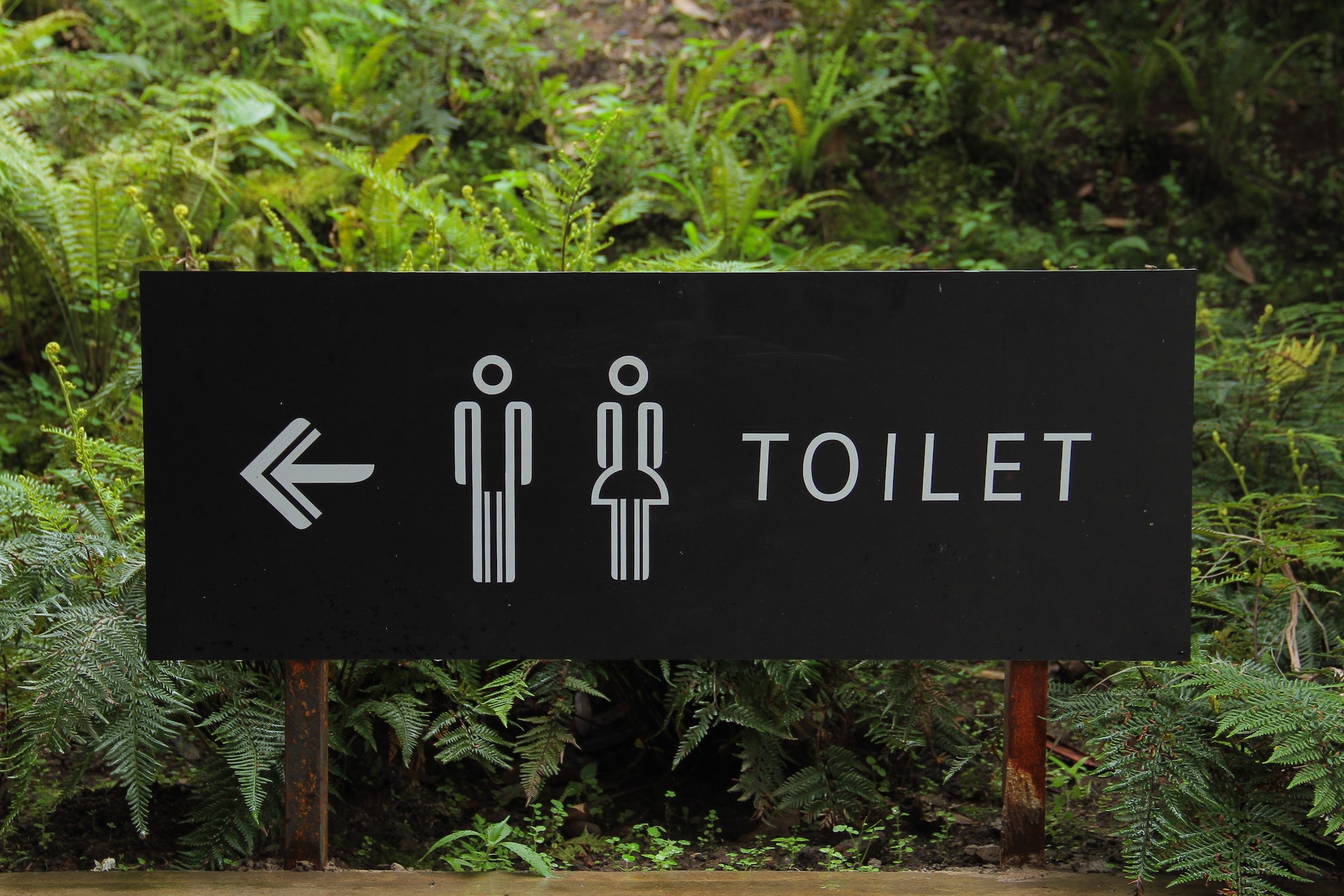Panneau de signalisation des toilettes | Source : Pexels