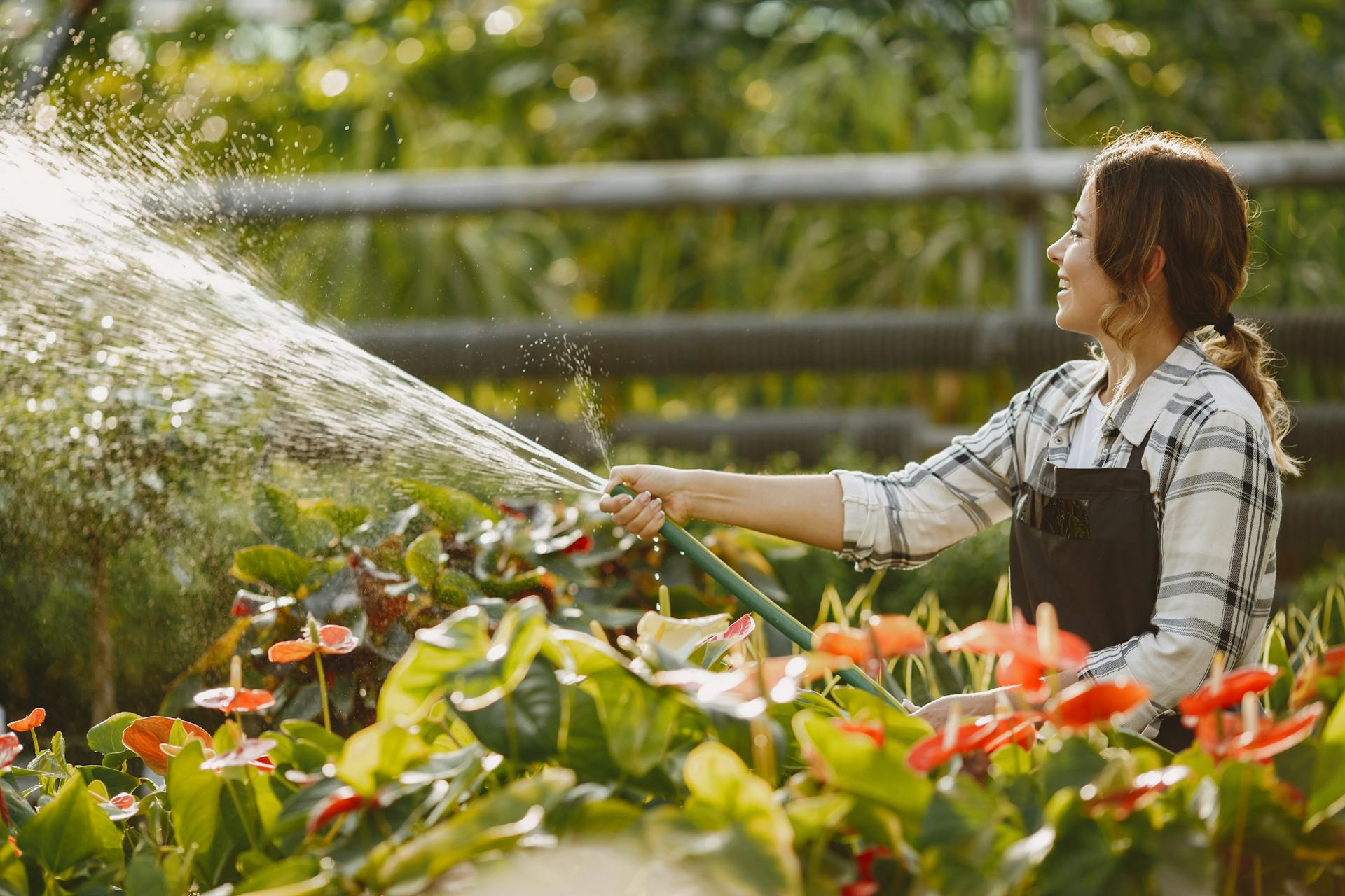 Une femme arrosant des plantes | Source : Pexels