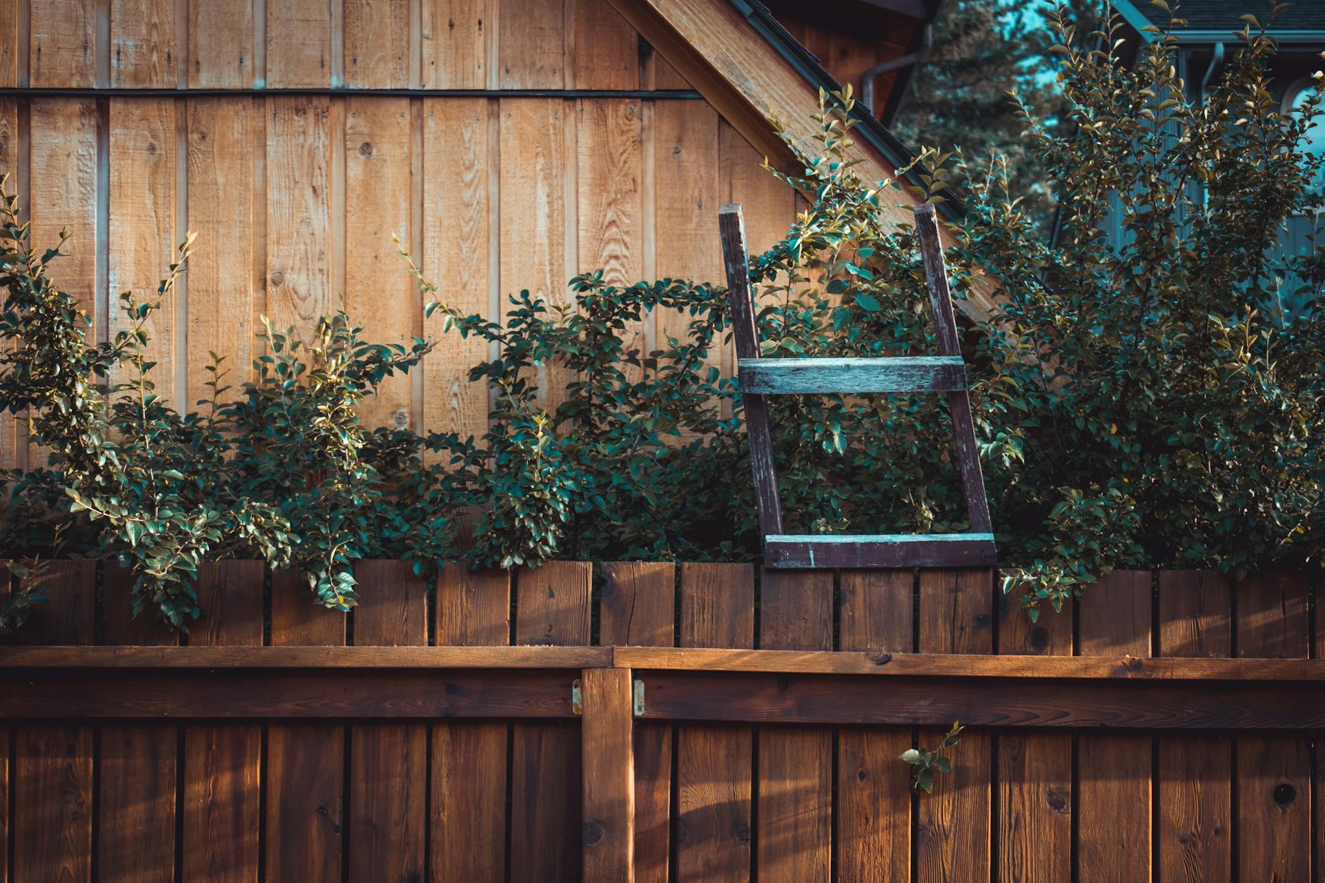 Une clôture en bois | Source : Pexels