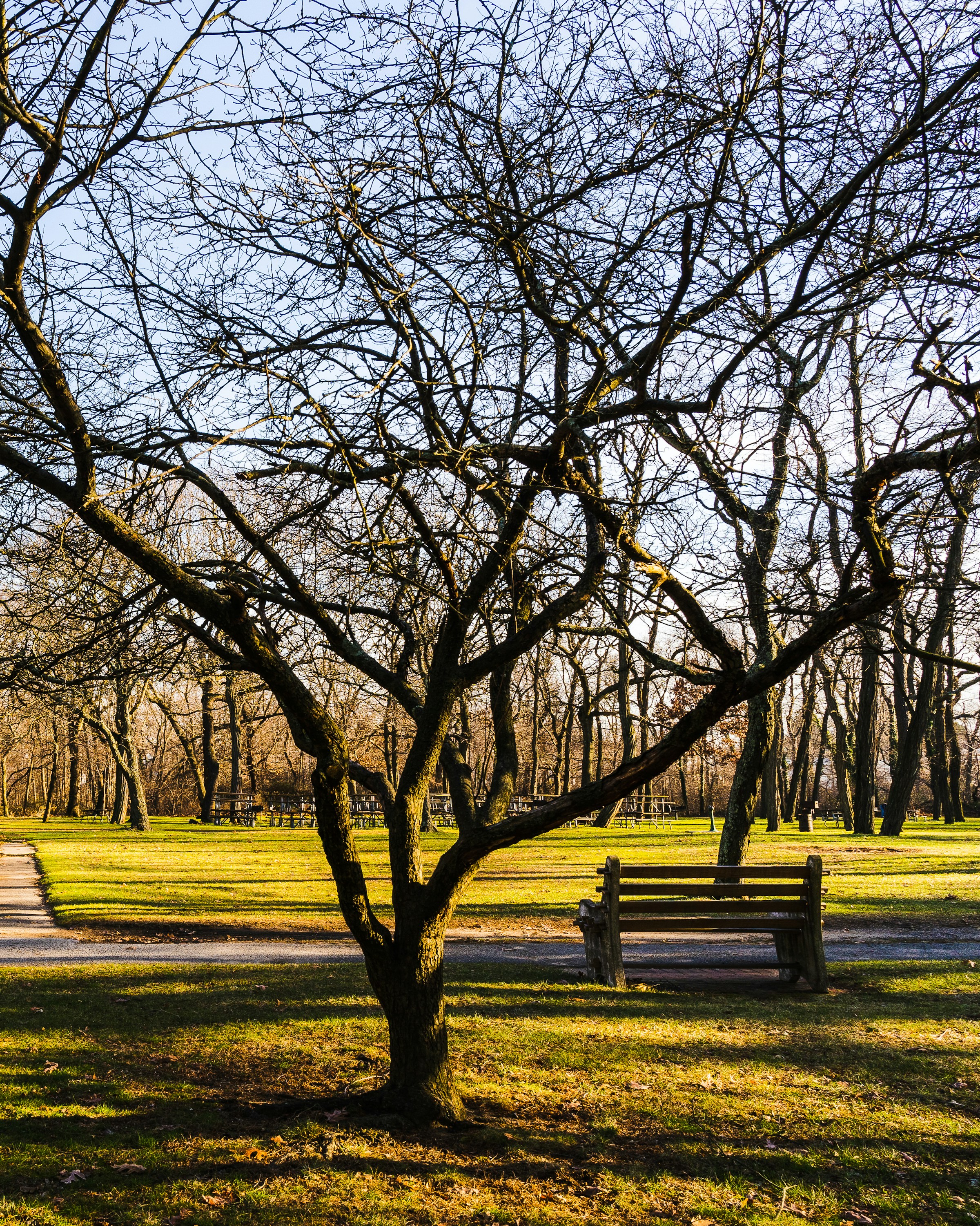 Un banc en bois dans un parc | Source : Unsplash