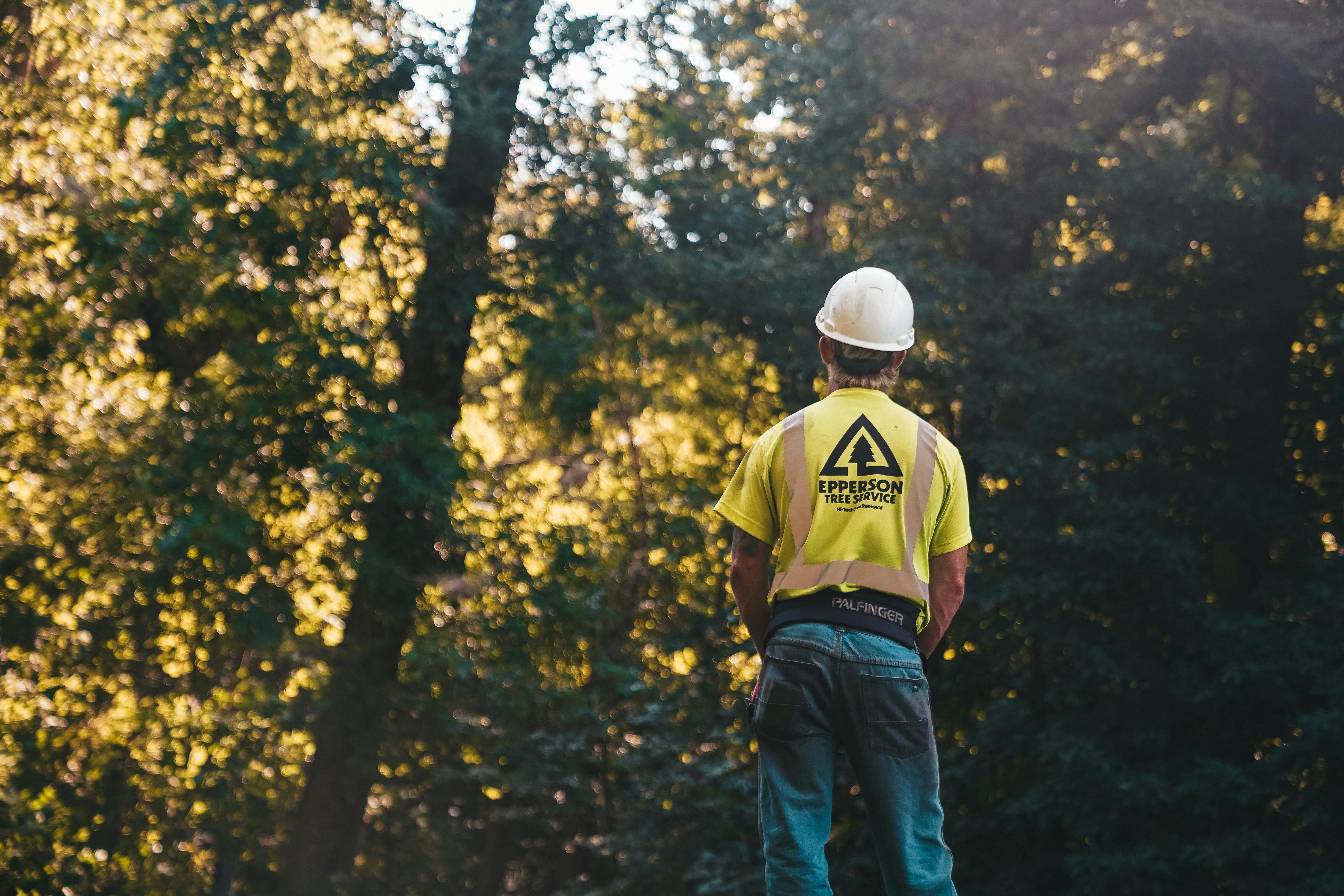 Une personne debout dans une forêt | Source : Pexels