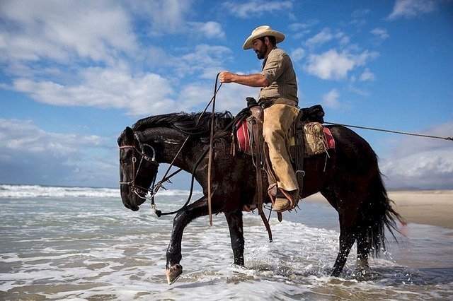 Un homme sur un cheval | Photo : Pixabay.